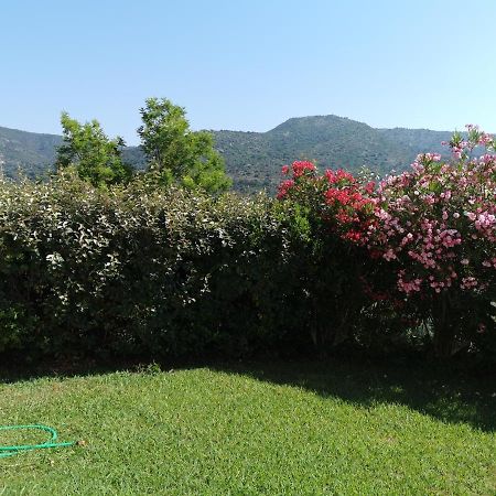Ou Souleou Apartman Bormes-les-Mimosas Kültér fotó