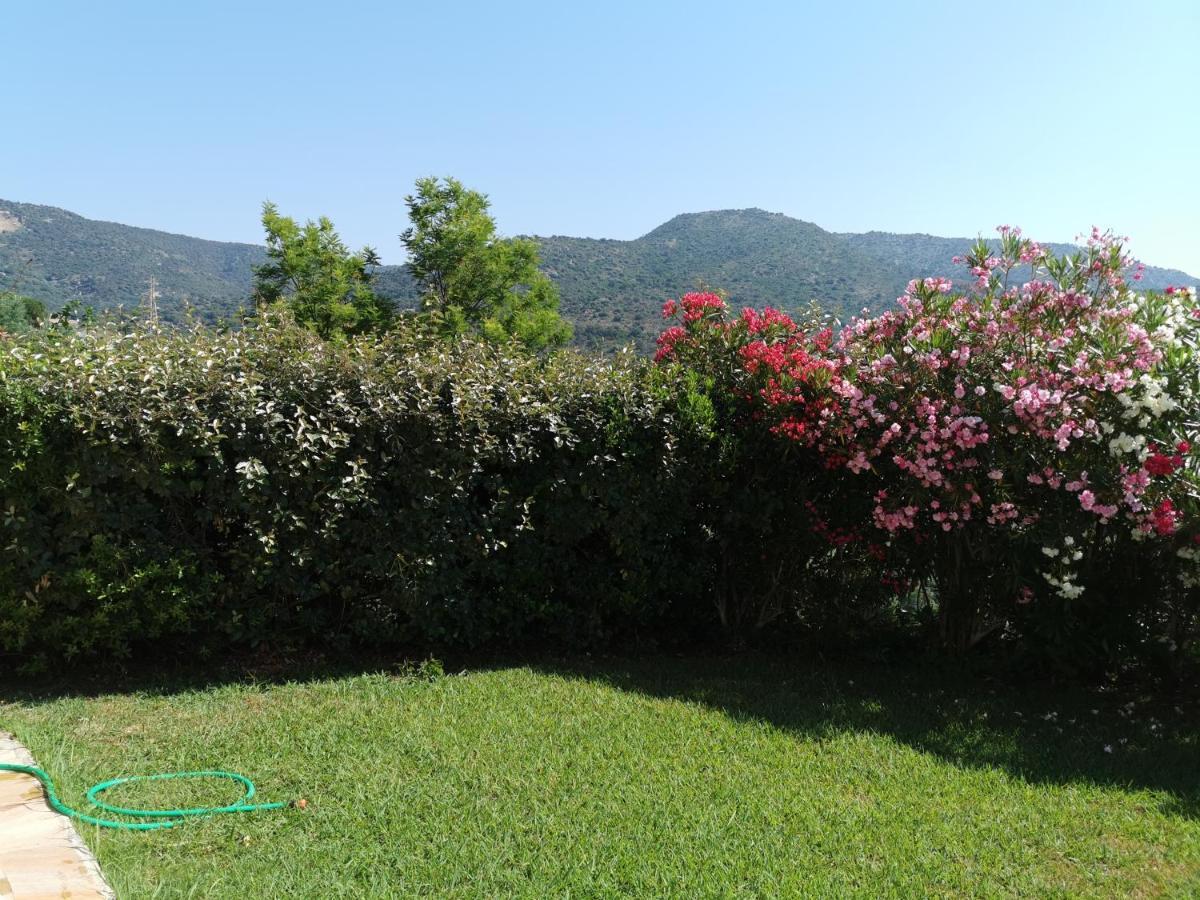 Ou Souleou Apartman Bormes-les-Mimosas Kültér fotó
