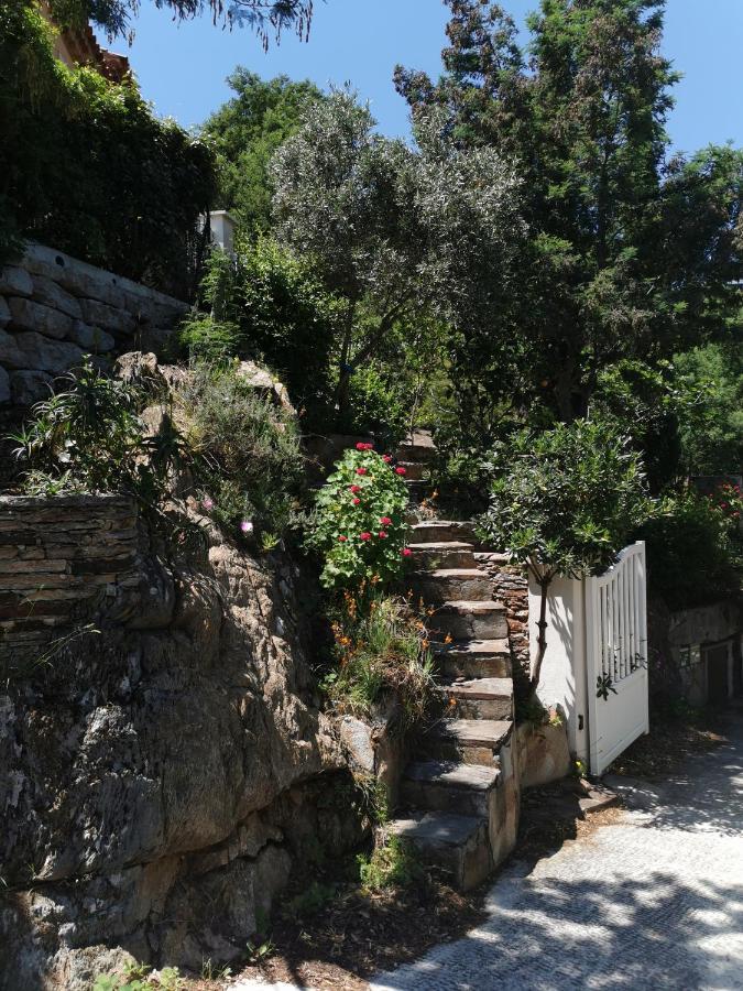 Ou Souleou Apartman Bormes-les-Mimosas Kültér fotó
